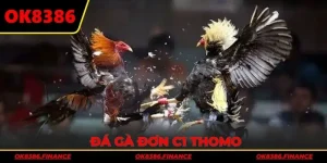 da-ga-don-c1-thomo