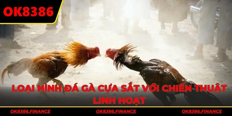 Loại hình đá gà cựa sắt với chiến thuật linh hoạt